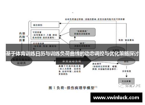 基于体育训练日历与训练负荷曲线的动态调控与优化策略探讨